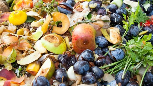 Immagine: Piemonte, un anno di attività per il progetto Retrace che promuove l'economia circolare