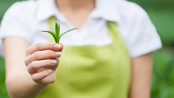 Immagine: Poli di innovazione piemontesi: opportunità per le aziende con idee smart e green