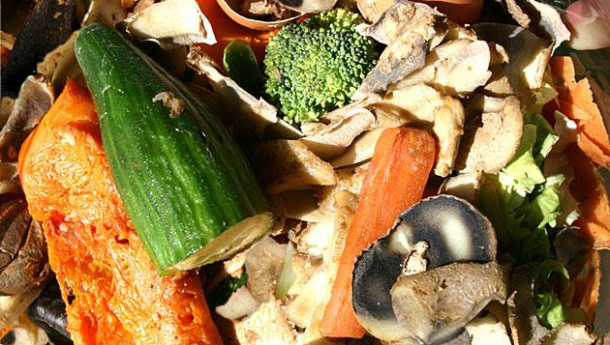 Immagine: ll decalogo per una corretta raccolta differenziata dell'umido in estate