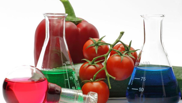 Immagine: Istituto Zooprofilattico di Torino e Banco alimentare: accordo per riutilizzare il cibo sano sottoposto ad analisi