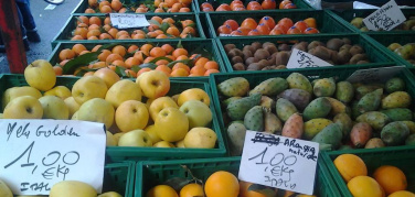 Al via ufficialmente presso il Centro Agro Alimentare di Torino il sistema di cassette riutilizzabili Oikos