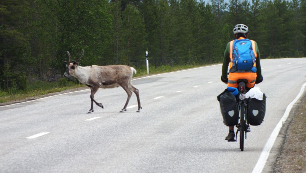 Immagine: Bologna, 7,5 mln alla Ciclovia del Sole 'per incentivare la mobilità sostenibile lungo l’asse ferroviario per Verona'