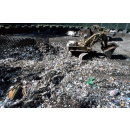 Immagine: Rifiuti, 25 discariche abusive escono dalla lista di condanna Ue