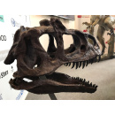 Immagine: Venezia74, la “terra dei dinosauri” della Settimana del Pianeta Terra nella goccia del Green Drop Award