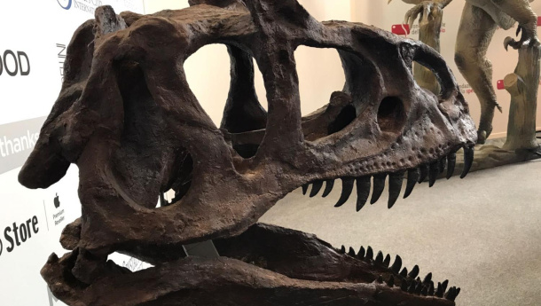 Immagine: Venezia74, la “terra dei dinosauri” della Settimana del Pianeta Terra nella goccia del Green Drop Award