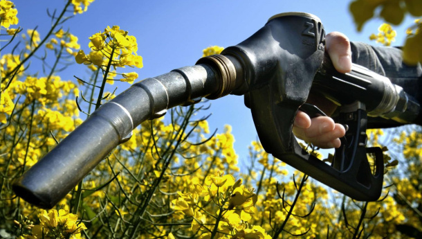 Immagine: la Cina punta a usare il bioetanolo su scala nazionale entro il 2020