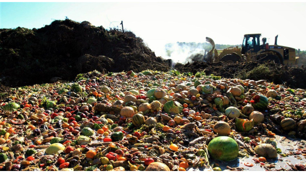 Immagine: Riduzione sprechi e recupero eccedenze alimentari, la Provincia di Trento promuove una nuova legge