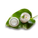 Immagine: Progettazione sostenibile degli imballaggi, Conai:'La detergenza è green'