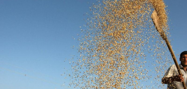 A Bologna un convegno su agroalimentare e spreco anticipa la Giornata Mondiale dell'Alimentazione