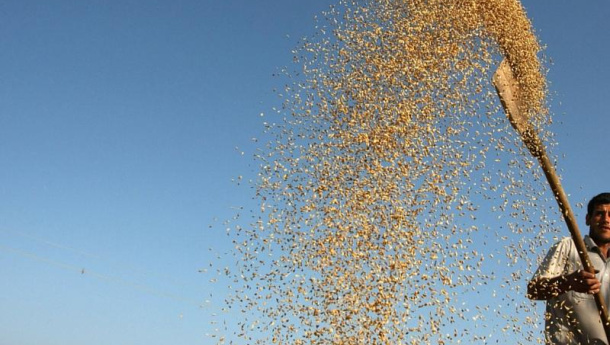 Immagine: A Bologna un convegno su agroalimentare e spreco anticipa la Giornata Mondiale dell'Alimentazione