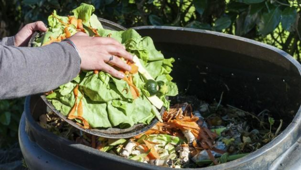 Immagine: Biowaste: la frazione organica raccolta in Italia è pura al 95%