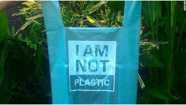 Immagine: Raccolta differenziata: plastica e bioplastica non vanno buttate insieme! | Video