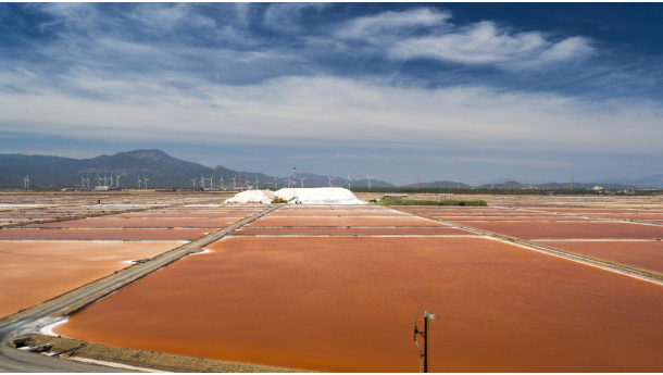 Immagine: Saline Conti Vecchi, il progetto di Eni e Fai dove convivono ambiente e industria