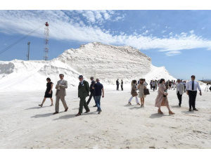 Saline Conti Vecchi, il progetto di Eni e Fai dove convivono ambiente e industria