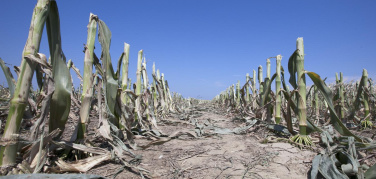 Cnr, estate 2017: ‘Eccezionale deficit di pioggia -82% e temperature superiori di 2.5°C’