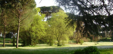 Virginia Raggi annuncia: 'A Roma 12 mila nuovi alberi e 2 boschi urbani'