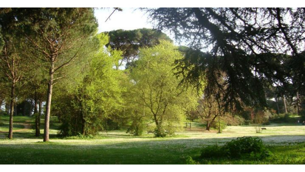 Immagine: Virginia Raggi annuncia: 'A Roma 12 mila nuovi alberi e 2 boschi urbani'