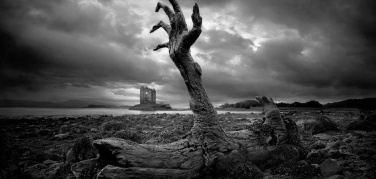 The Urban Death Project, manca poco per la sperimentazione del primo impianto di compostaggio umano