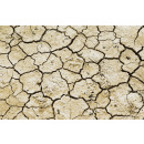 Immagine: Crisi idrica in Piemonte: ottobre 2017 il più siccitoso degli ultimi 70 anni