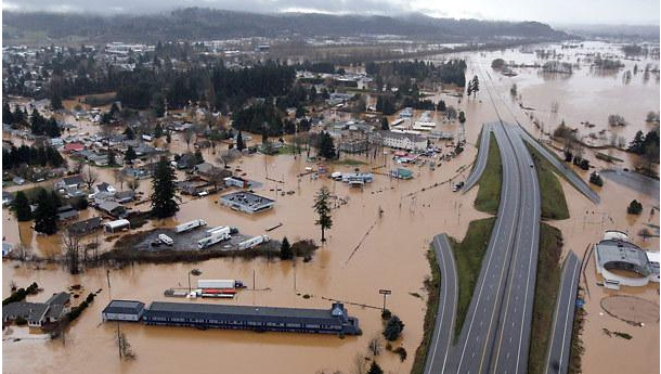 Immagine: Il progetto italiano Life Derris alla Cop23 di Bonn