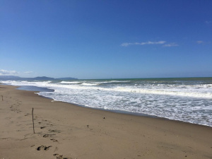 Rifiuti marini. A Ecomondo presentati i risultati del primo studio sulla riciclabilità delle plastiche presenti sulle spiagge italiane