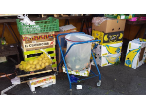 Raccolta differenziata nei mercati a Torino, Porta Palazzo in rimonta grazie all’organico