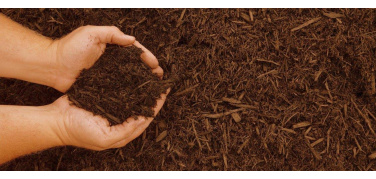 Giornata Mondiale del Suolo: il CIC ad Assisi per una due giorni sul biowaste