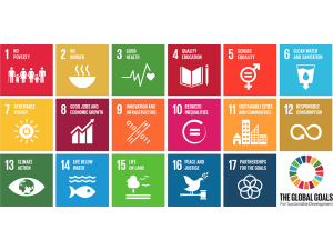 Sustainable Development Goals. Al Firenze Light Festival la proiezione luminosa dei 17 obiettivi sulla Torre di Arnolfo