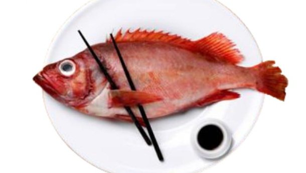 Immagine: Barriera in Transizione, all’Ecomuseo un laboratorio sugli sprechi alimentari nel mercato ittico