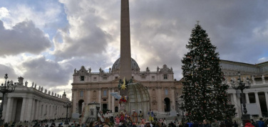 Da Spelacchio a Vittorio, gli alberi di Natale hanno sempre una seconda vita