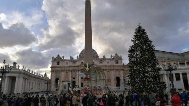 Immagine: Da Spelacchio a Vittorio, gli alberi di Natale hanno sempre una seconda vita