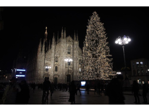 Da Spelacchio a Vittorio, gli alberi di Natale hanno sempre una seconda vita
