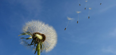 Torino: rifiuti che 'volano via' in corso Cincinnato