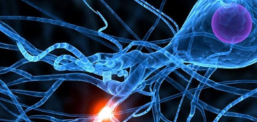 Climate Change, l'intelligenza artificiale in soccorso dell'uomo per comprendere le origini dei cambiamenti climatici