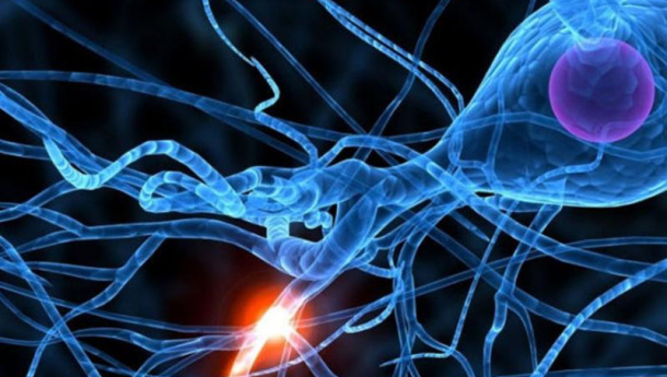 Immagine: Climate Change, l'intelligenza artificiale in soccorso dell'uomo per comprendere le origini dei cambiamenti climatici