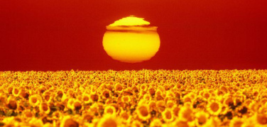 Il 2017 è stato uno dei tre anni più caldi mai registrati