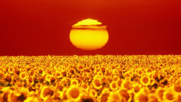 Immagine: Il 2017 è stato uno dei tre anni più caldi mai registrati