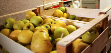 Banco Alimentare, +21,4% di cibo recuperato dalla GDO con un anno di Legge Gadda