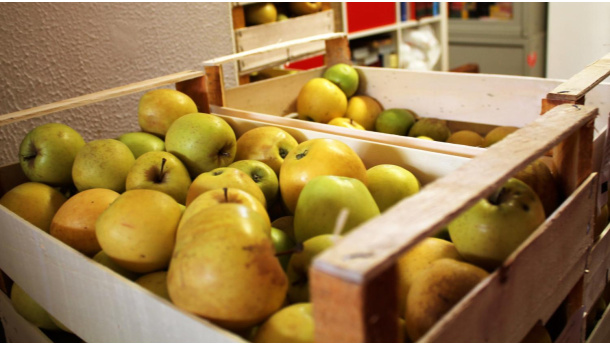 Immagine: Banco Alimentare, +21,4% di cibo recuperato dalla GDO con un anno di Legge Gadda