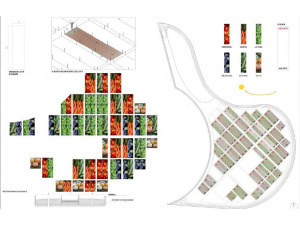 ‘Orto Domingo’, il primo orto urbano su suolo pubblico della città di Bari