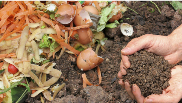 Immagine: A Verona il 2 febbraio l'VIII Forum Interregionale sul Compostaggio e la Digestione Anaerobica