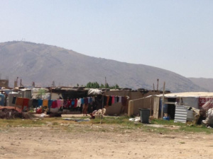 Al via Bcfn Yes! Concorso che premia i migliori progetti scientifici che aiutano a salvare il pianeta