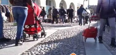 Vivilibrôn, il progetto dove Ecomori e Sentinelle salvano i libri dall'inceneritore | VIDEO