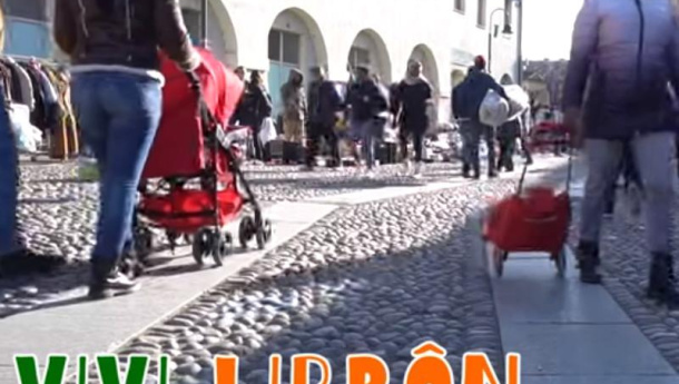 Immagine: Vivilibrôn, il progetto dove Ecomori e Sentinelle salvano i libri dall'inceneritore | VIDEO