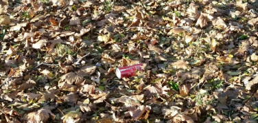 Torino: un calendario di appuntamenti domenicali di partecipazione civica per la cura dell'ambiente