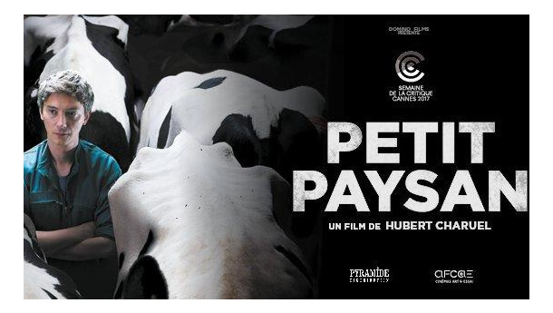 Immagine: CinemAmbiente presenta in anteprima a Torino il film rivelazione Petit Paysan - Un eroe singolare