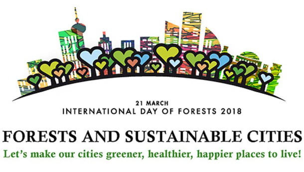 Immagine: Giornata Internazionale delle Foreste: l'edizione 2018 è dedicata alle “Foreste e città sostenibili”