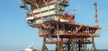 Trivelle, il Consiglio regionale della Puglia approva la mozione per reintrodurre il Piano delle Aree