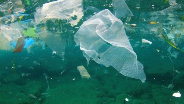 Immagine: Regno Unito, la tassa sui sacchetti di plastica ha ridotto la loro presenza nei fondali marini