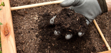 Novamont: 'Sempre più plastica nell'organico'